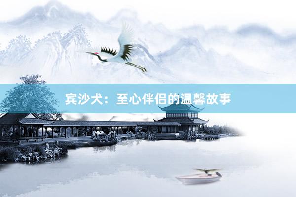 宾沙犬:至心伴侣的温馨故事